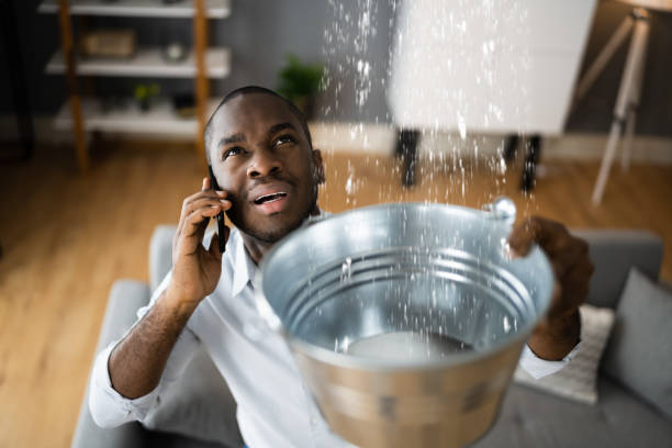 Best Mold removal after water damage  in Wildomar, CA