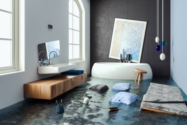 Best Mold removal after water damage  in Wildomar, CA
