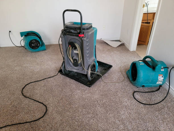 Best Water damage contractors near me  in Wildomar, CA