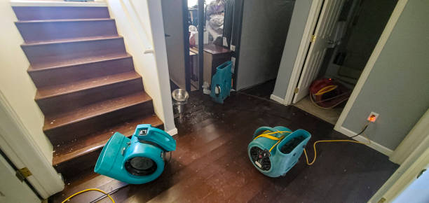 Best Flooded house restoration  in Wildomar, CA