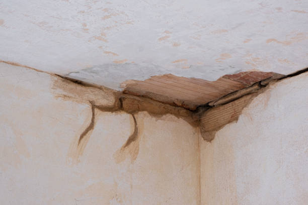 Best Water damage contractors near me  in Wildomar, CA