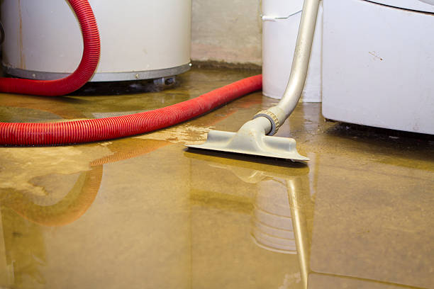 Best 24-hour water damage restoration  in Wildomar, CA