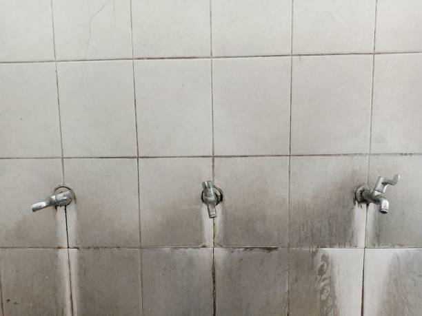 Best Residential water damage restoration  in Wildomar, CA
