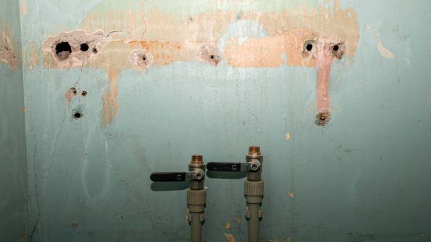Best Water damage cleanup near me  in Wildomar, CA