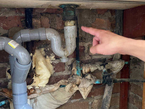 Best Flood damage cleanup  in Wildomar, CA