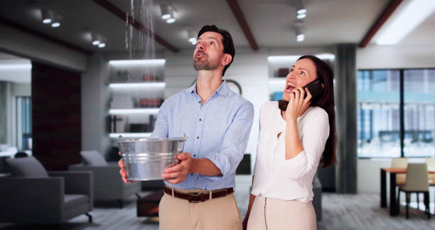 Best Water damage cleanup near me  in Wildomar, CA