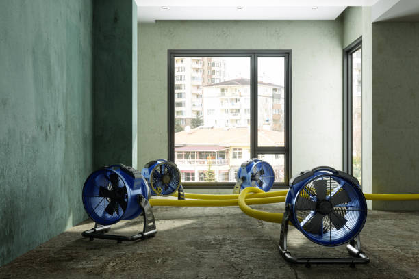Best Flood restoration services  in Wildomar, CA